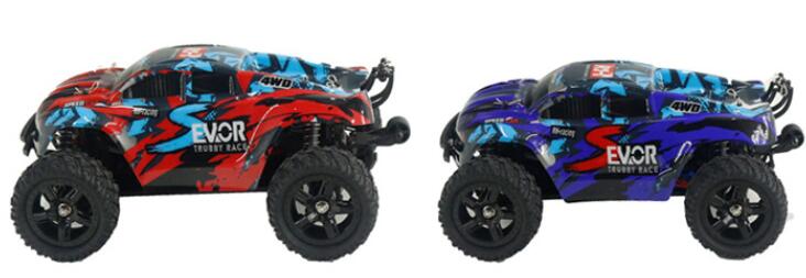 REMO hobby 1665 rc car